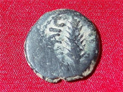 Coin Bible Porcius Emperor Nero Prutah Wreath Palm #pt6  