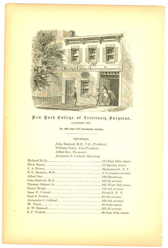 1868 Engraving NEW YORK COLLEGE OF VETERINARY SURGEONS  