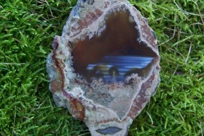 JVC Rare White Rock Springs Carnelian Thunderegg polished half  