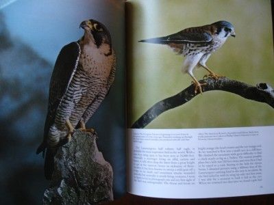 Passion for Birds Eric Hosking Photography 1st 1979  