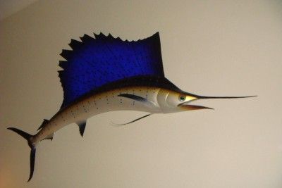 100 Sailfish Half Mount Skin Taxidermy Acapulco Mexico  