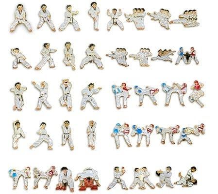 TaeKwonDo 40pcs motion badges+Board set TKD sports gift WTF Korea 