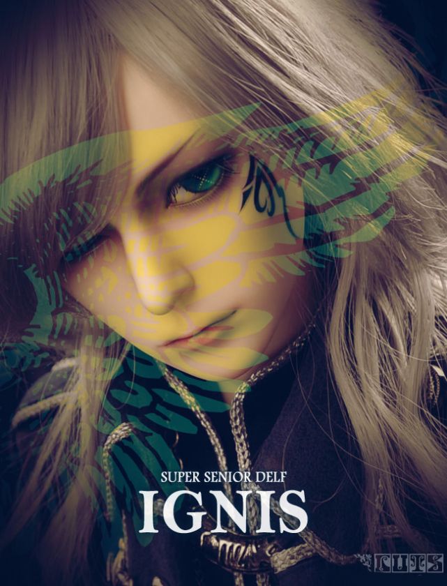 LUTS Super Senior Delf IGNIS Dark Night LIMITED   BJD, ABJD, 1/6 scale 