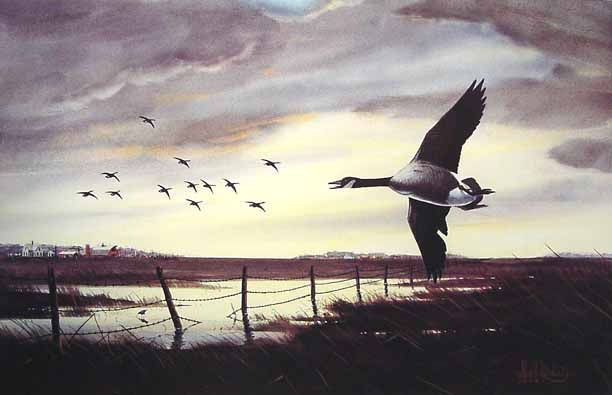 Les Kouba HIT HARD Canada Geese Signed Numbered Print  