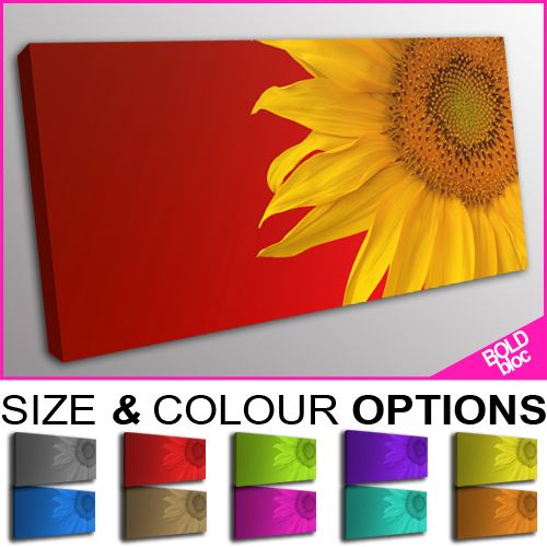 PREMIUM NEW   Floral Sunflower   10 COLOURS / SIZES  