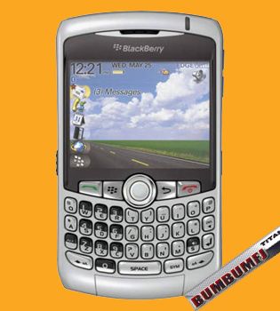 NEW UNLOCKED BLACKBERRY 8300 CURVE GSM RIM SMARTPHONE 843163017139 