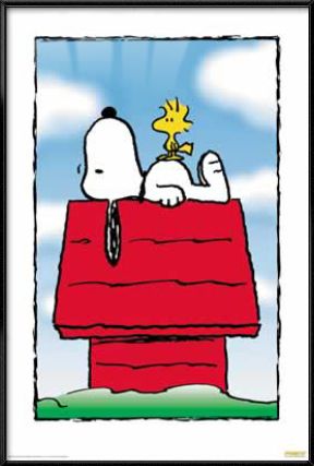 PEANUTS   FRAMED TV POSTER (SNOOPY & WOODSTOCK RESTING)  