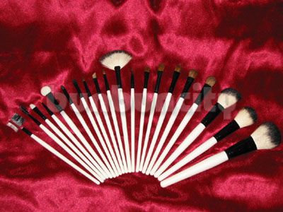 20 pcs MAKEUP BRUSHES SET (GOAT HAIR, CHECKER HOLDER)  