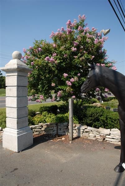 Estate Driveway Columns Granite  