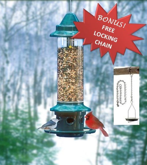 Our #1 Best Selling Bird Feeder