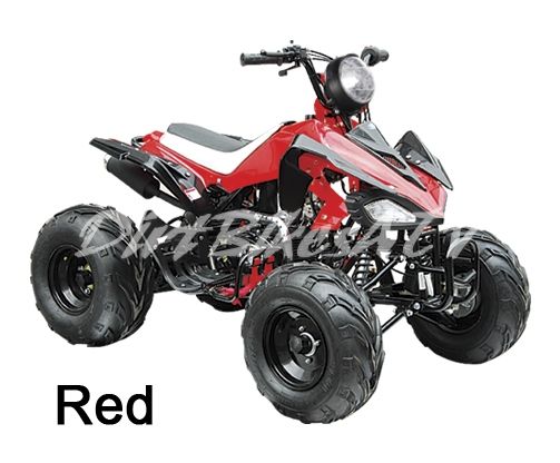 110cc 110 cc New Youth Kids ATV Quad Hammer 4 Stroke  