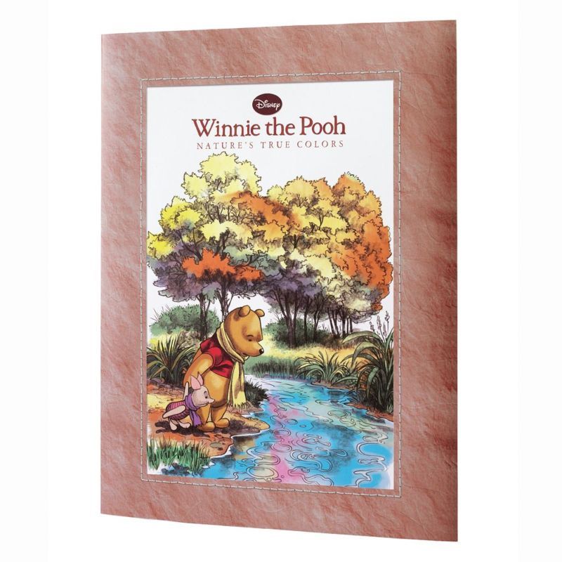 KOHLS CARES WINNIE THE POOH NATURES TRUE COLORS BOOK  