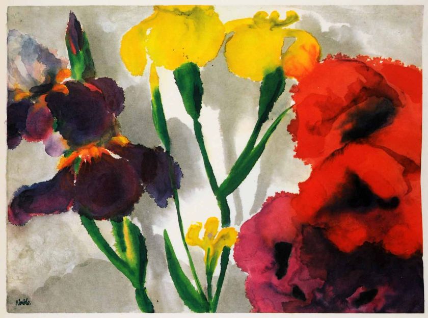   Nolde Watercolor Modern Art Iris Poppy Flowers Floral Botanical  