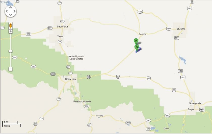 NORTHERN ARIZONA~NICE TREED 1.04 AC PARCEL~$1,520 @ $95 per/Mo NO DOC 