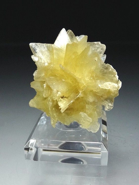 Yellow Star Muscovite Crystal Cluster #14  